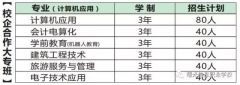 2017湖南曙光电子消息手艺学院招生简章（